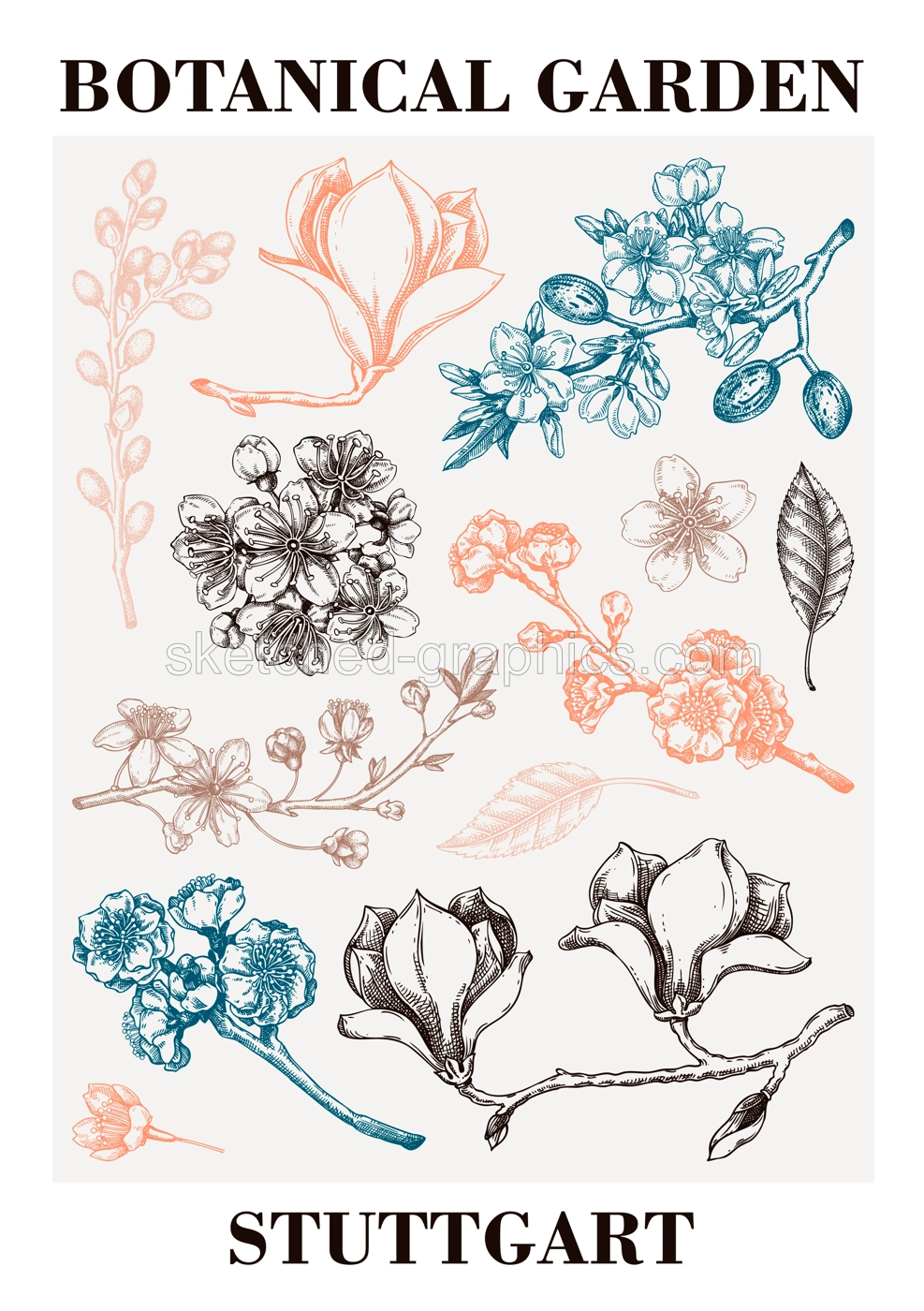 Spring poster design. Blooming branches sketches. Hand-drawn botanical illustration. Floral print design. NOT AI genereted Illustration